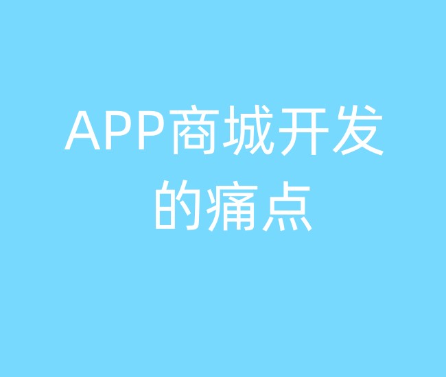 APP商城开发的痛点